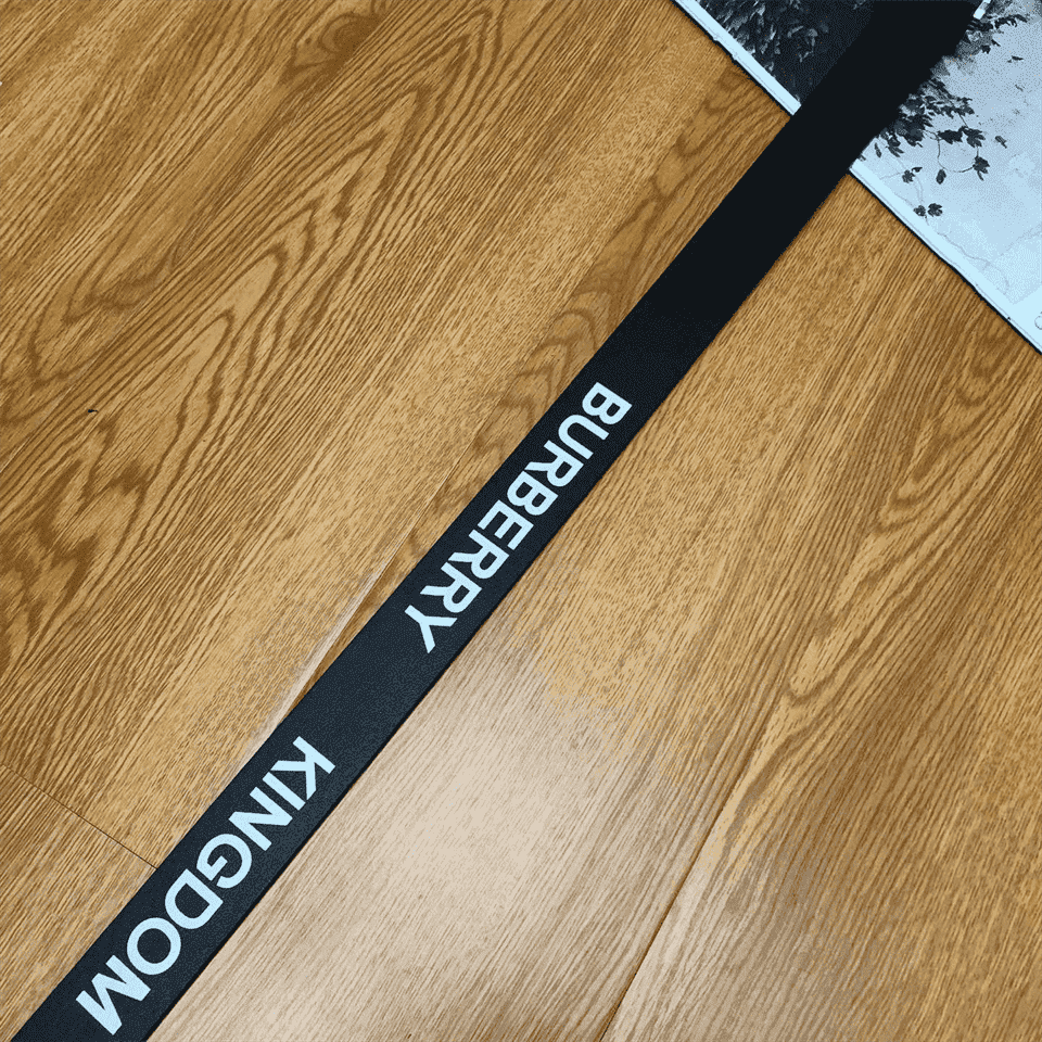 BURBERRY KINGDOM PRINT BELT - B21