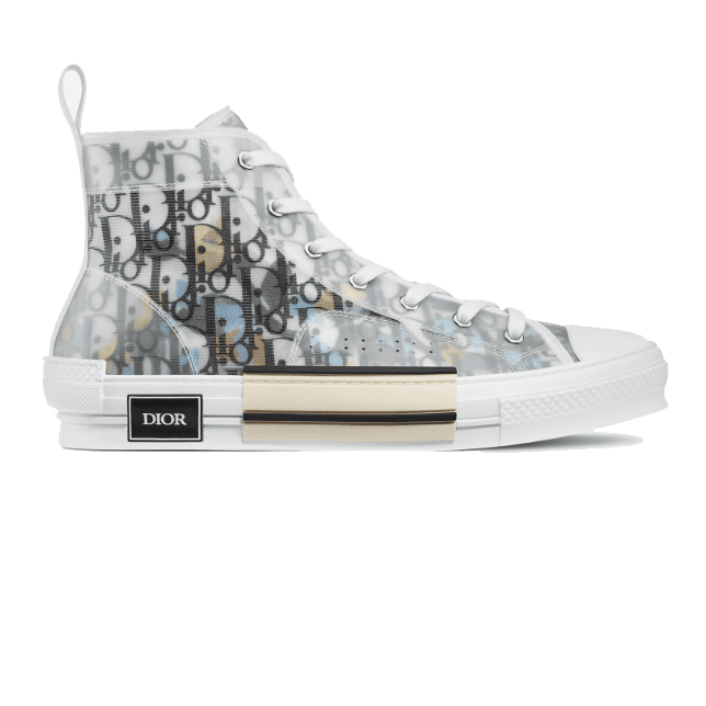 DIOR B23 HIGH TOP ALEX FOXTON OBLIQUE