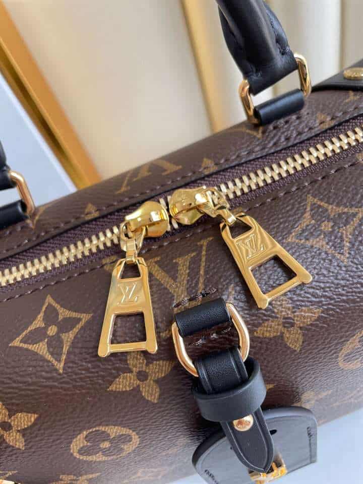 LOUIS VUITTON PETITE MALLE SOUPLE - LBV227