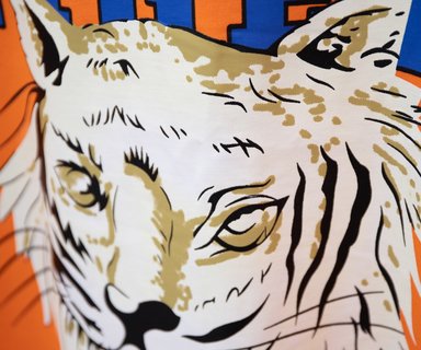 GUCCI Tiger T-Shirt - GC0058