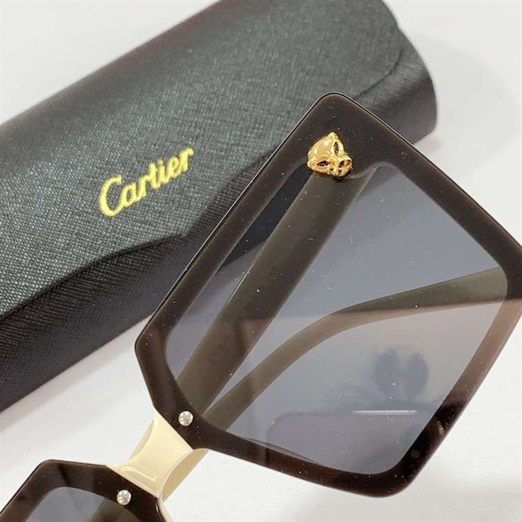 CARTIER SUNGLASSES - GCT15