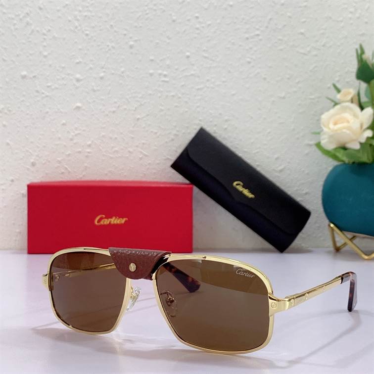 CARTIER SUNGLASSES - GCT03
