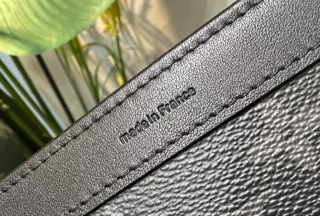 LOUIS VUITTON GASTON WEARABLE WALLET - RRG071