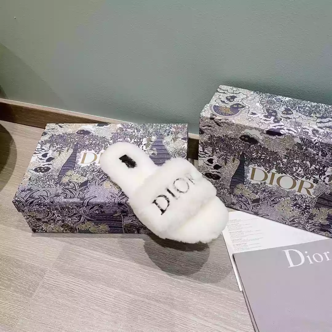 Dior Slippers - SDD016