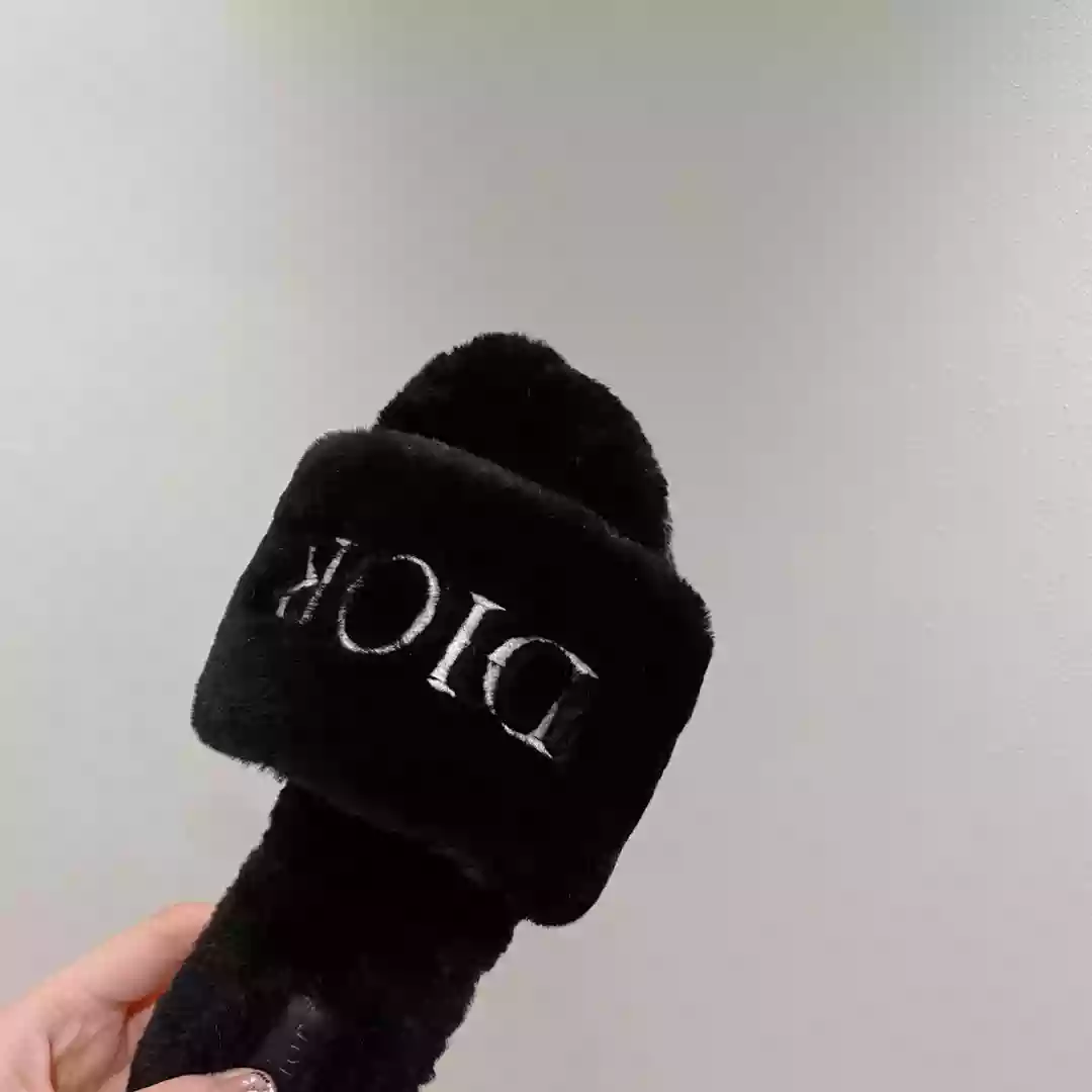Dior Slippers - SDD017