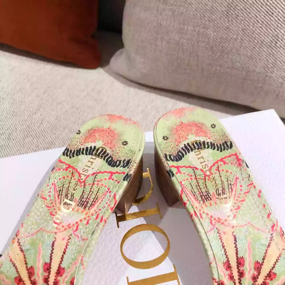 Dior Slippers - SDD018