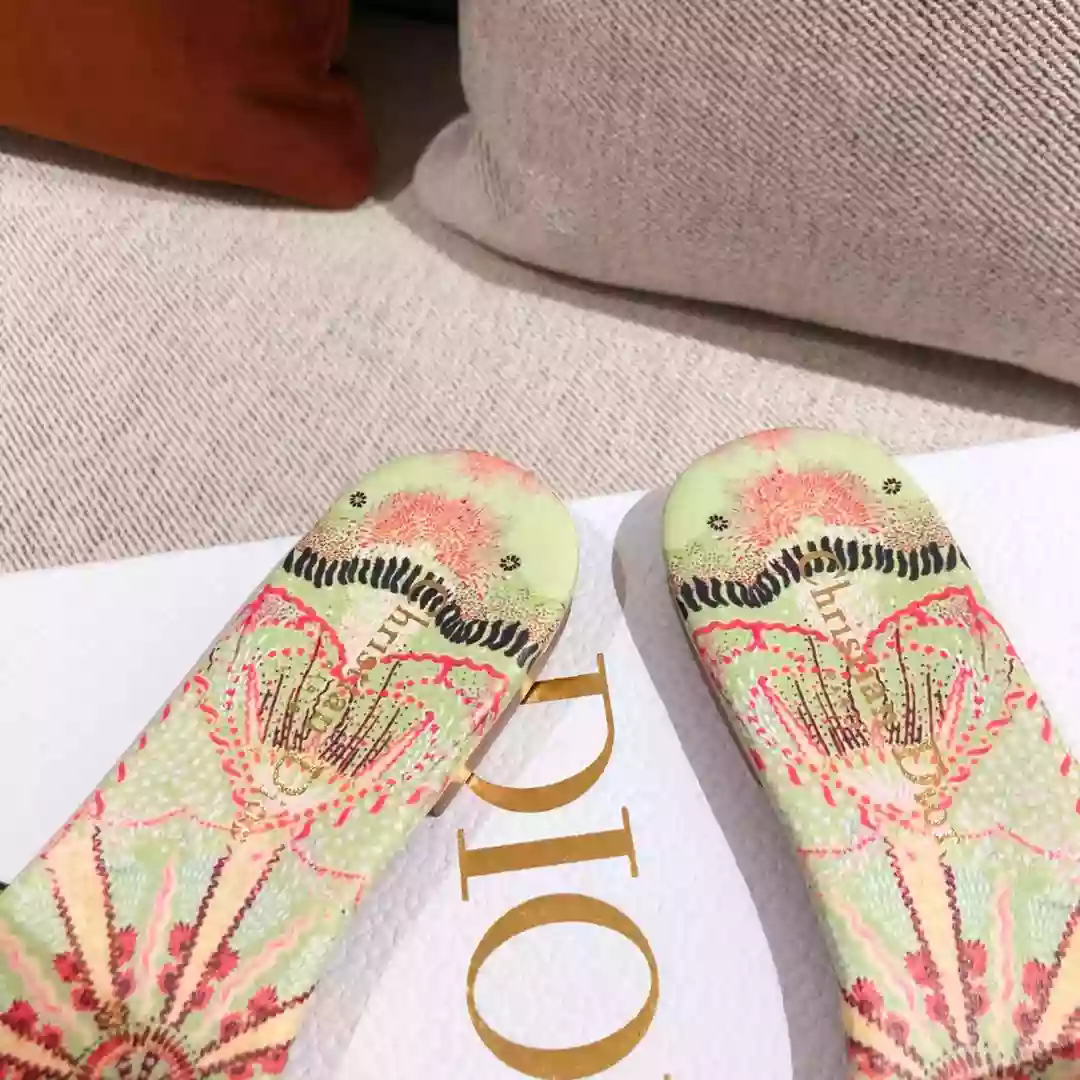 Dior Slippers - SDD019
