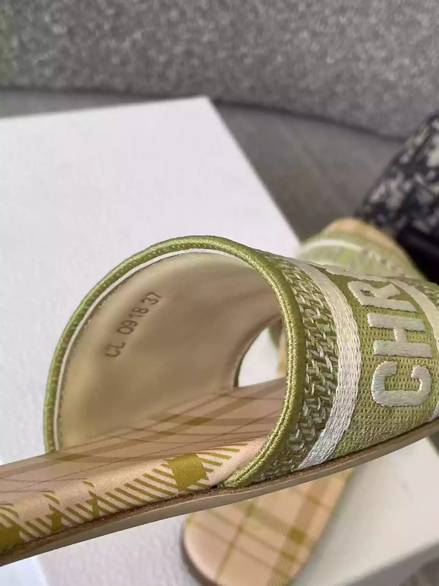 Dior Slippers - SDD025